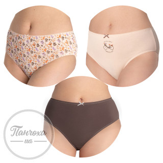 Труси жіночі LAMA (3 шт.) (L-120 BІ-100 / XXL) Труси жіночі LAMA (3 шт.) (L-120 BІ-100 / XXL)