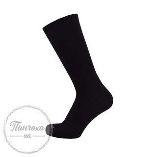 Шкарпетки чоловічі Дюна 2236 р.27-29 Чорний