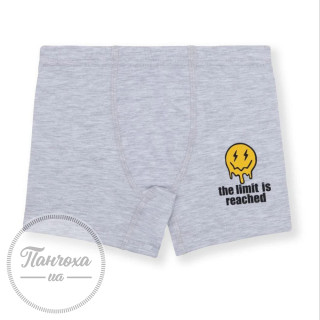 Трусы для парней BAYKAR 3530 р. 110-116 Св. - серый