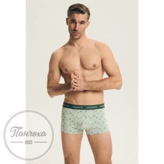 Труси чоловічі Henderson 44521 BLANK (короткі) р.L Зелений