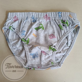 Труси для хлопців BAYKAR 3509 р.110-116 Синій