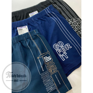 Труси для хлопців BAYKAR 3966 р.158-164 Синій Труси для хлопців BAYKAR 3966 р.158-164 Синій