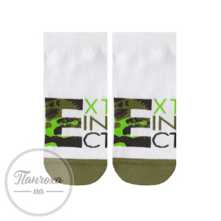 Шкарпетки чоловічі Дюна 5207 р.27-29/43-46 Білий