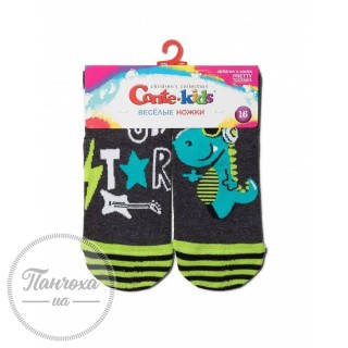 Шкарпетки дитячі CONTE Веселі ніжки 17С-10СП, р.16, 462 темно-сірий