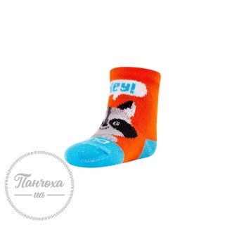 Шкарпетки дитячі Дюна 4056