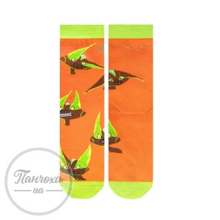 Шкарпетки чоловічі Дюна 1559 (2 пари) р.27-29 Оранжевий
