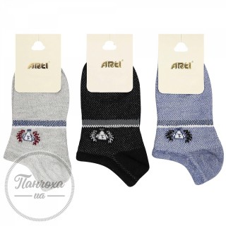 Шкарпетки для хлопчиків ARTI 200017