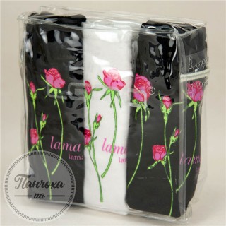 Трусы женские LAMA (3 шт.) (L-170 MBB / L)