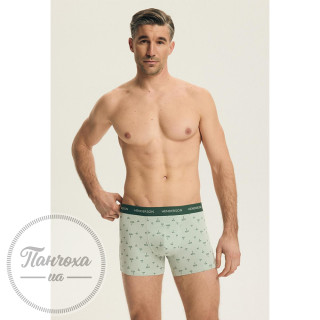 Труси чоловічі Henderson 44522 BLANK р.L Зелений