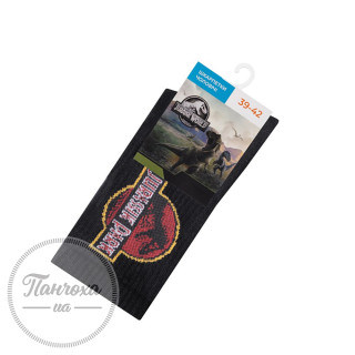 Шкарпетки чоловічі Дюна 5208 р.27-29/43-46 Чорний