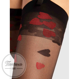 Панчохи жіночі FIORE ALICE 20 den р.2 Black