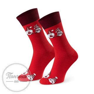 Шкарпетки чоловічі STEVEN 136 (гноми 2)