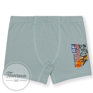 Трусы для парней BAYKAR 3512