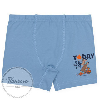 Труси для хлопців BAYKAR 3526