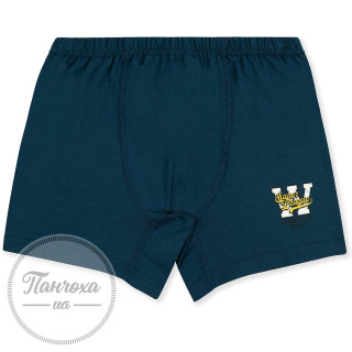 Трусы для парней BAYKAR 3938-1 р. 158-164 бирюзовый