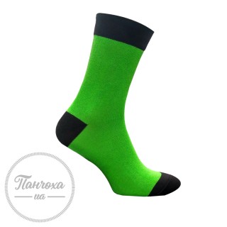 Шкарпетки чоловічі Master 119 р.27-29, Зелений (чорна резинка)