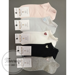 Шкарпетки жіночі AURA.VIA NDX2652