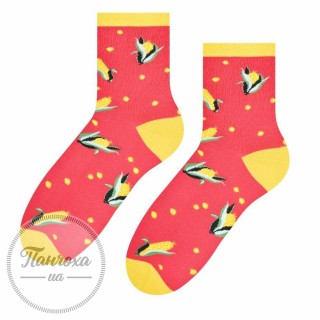 Шкарпетки жіночі STEVEN 159 (кукурудза)