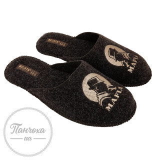 Тапочки чоловічі BELSTA V2202-3 №1711 VN550 C-43 