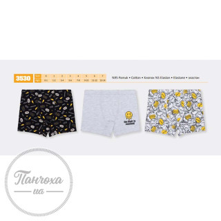 Труси для хлопців BAYKAR 3530