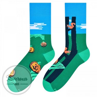 Шкарпетки чоловічі MORE 079 (PUMPKINS ) р.39-42 зелений