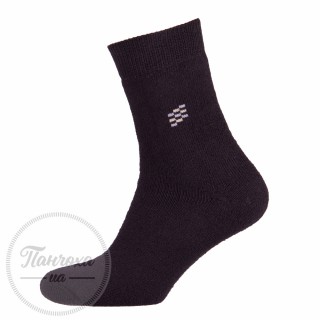 Шкарпетки чоловічі Master 119 (махра)