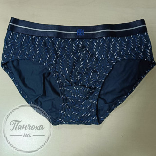 Труси чоловічі IMPETUS COTTON MODAL STRETCH IM1121N64/1