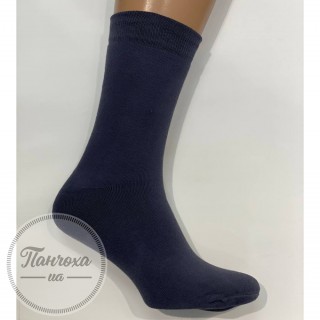 Шкарпетки чоловічі Master L200F (махрові однотонні) р.27-29 Темно-синій