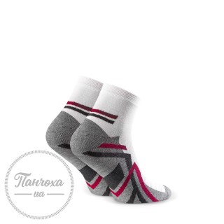Шкарпетки чоловічі STEVEN (SPORTOWE) 054 р.44-46 білий-сірий-бордо