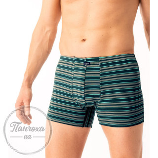 Труси чоловічі MXH-315 ZI 