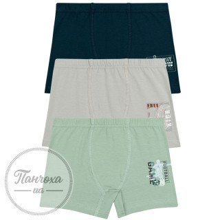 Труси для хлопців BAYKAR 3556