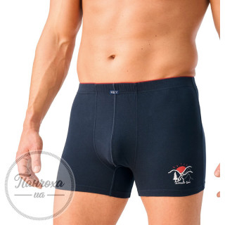 Трусы Мужские KEY MXH-761 GR р. L