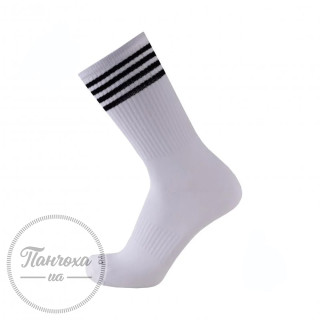 Шкарпетки чоловічі Дюна 2276