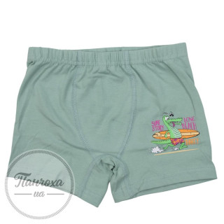 Трусы для парней BAYKAR 3508