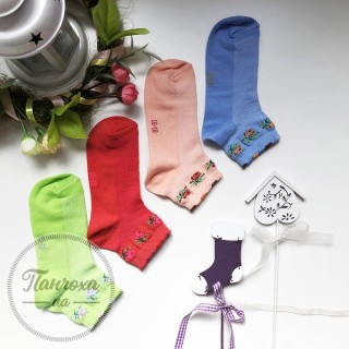 Шкарпетки для дівчат Master сітка (рози)
