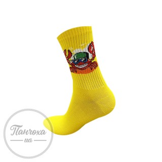 Шкарпетки чоловічі Master Спорт 124 (з малюнком) р.25-27 Жовтий
