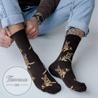 Носки Мужские MILENA Owczarki р. 39-42 коричневый