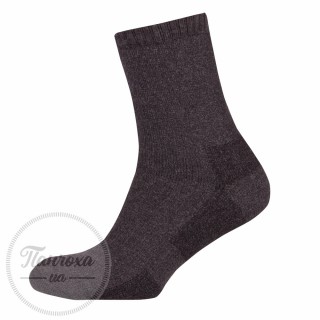 Шкарпетки чоловічі Лонкаме 3306