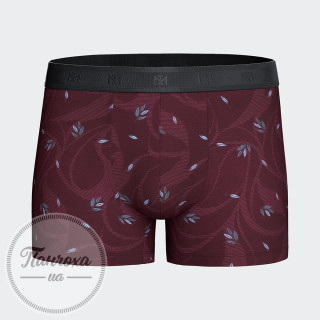 Труси чоловічі IMPETUS COTTON LYOCELL STRETCH IM1221N63