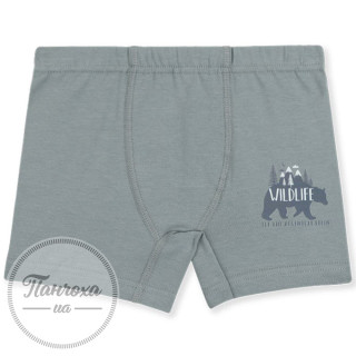 Труси для хлопців BAYKAR 3554