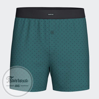 Труси чоловічі IMPETUS COTTON STRETCH COMFORT IM1253N7300