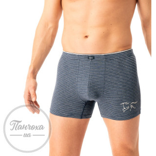 Труси чоловічі MXH-354 GR