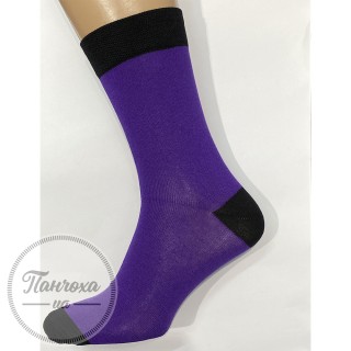 Шкарпетки чоловічі Master 119 р.25-27, Фіолетовий (чорна резинка)