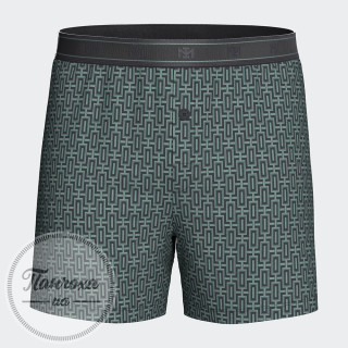 Труси чоловічі IMPETUS COTTON MODAL IM1251N7200