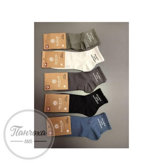 Шкарпетки чоловічі AURA.VIA FPX9590