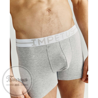 Труси чоловічі IMPETUS COTTON STRETCH 1258021