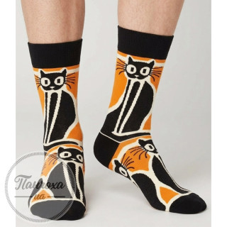 Шкарпетки чоловічі MARILYN (COTY)