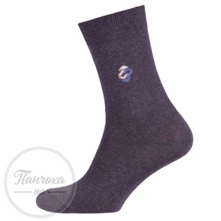 Носки мужские Master 112 (гладь)