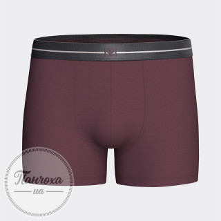 Труси чоловічі IMPETUS COTTON MODAL STRETCH IM1221N64