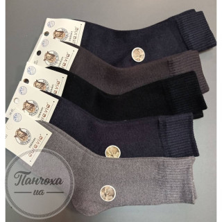 Шкарпетки чоловічі AURA.VIA TFV3223